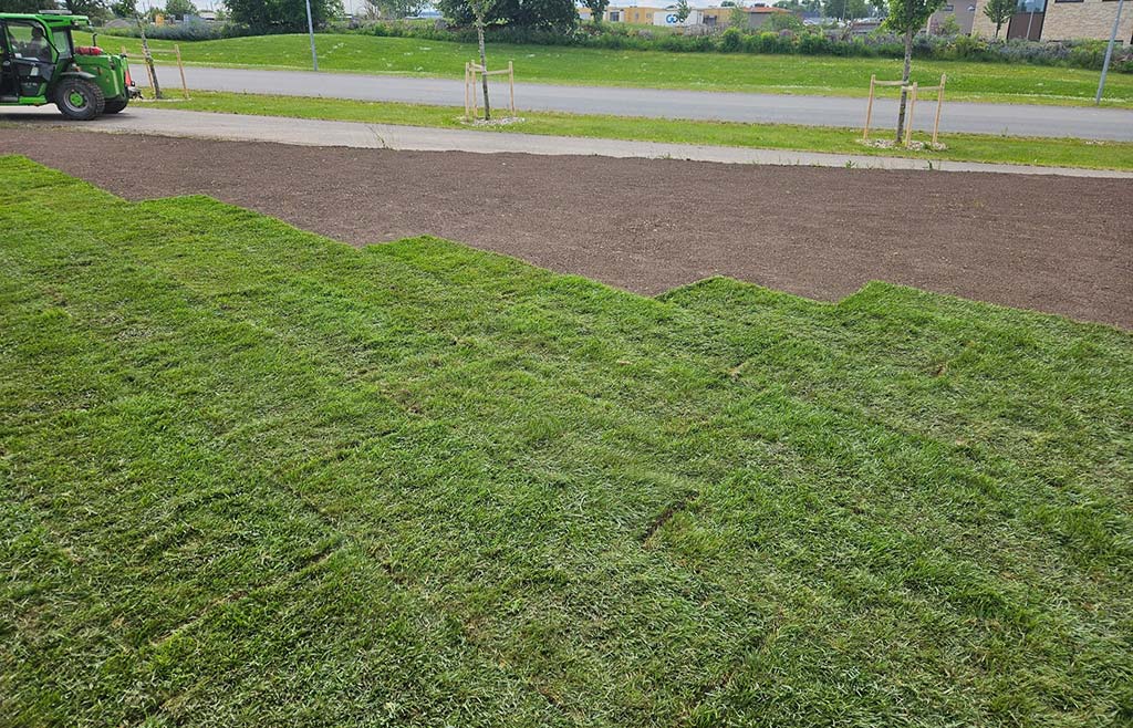 Anlägga gräsmatta Mullsjö